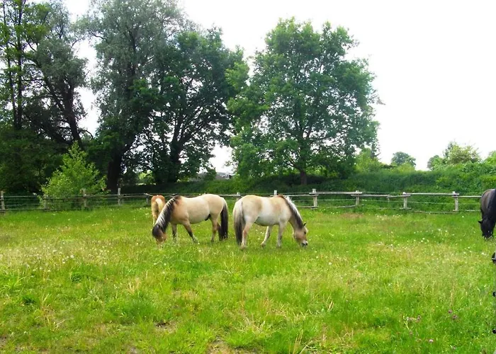 In Luebben Spreewald 26522 Steinkirchen (Brandenburg)