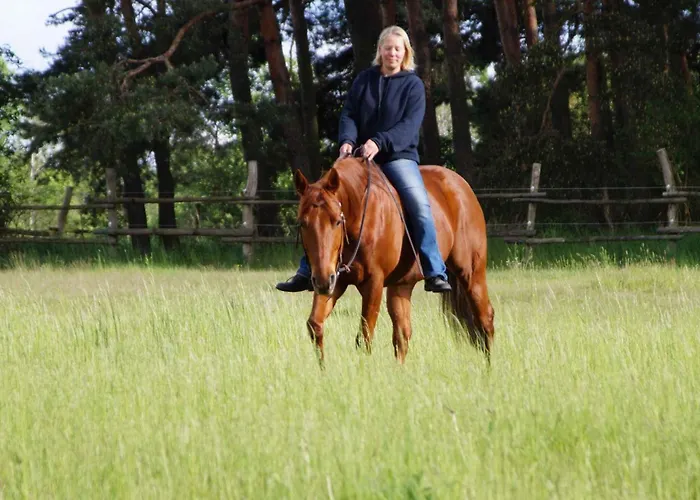 In Luebben Spreewald 26522 Lägenhet Steinkirchen (Brandenburg)